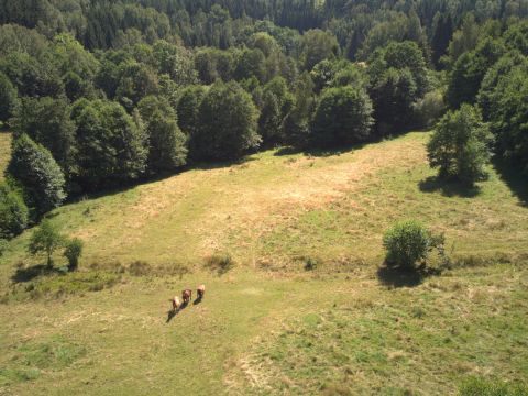 Prodej pozemku 3 027 m² - Kocioł