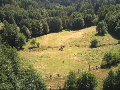 Prodej pozemku 3 446 m² - Kocioł