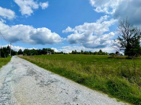 Prodej pozemku, 3 067 m² - Orlické Záhoří