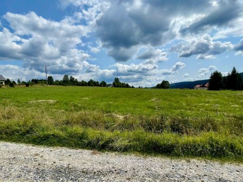 Prodej pozemku, 3 067 m² - Orlické Záhoří